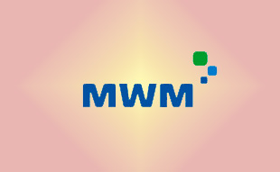 ✓ MWM 0331 5824 Запчасть MWM 